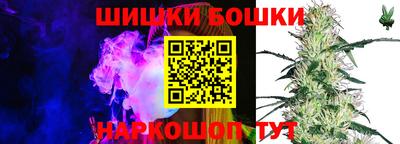 стаф Надым