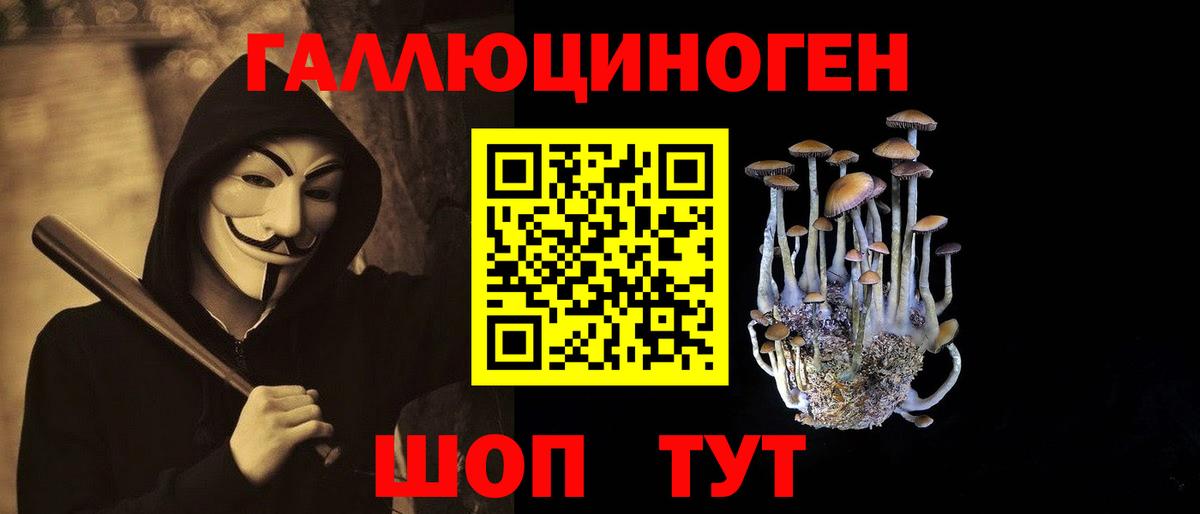Галлюциногенные грибы Psilocybe Каменка